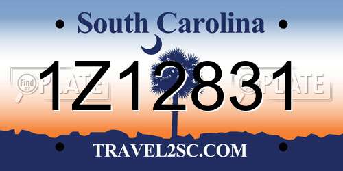 1Z12831 South Carolina License Plate