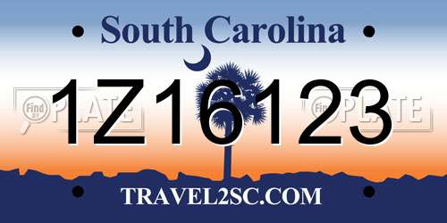 1Z16123 South Carolina License Plate