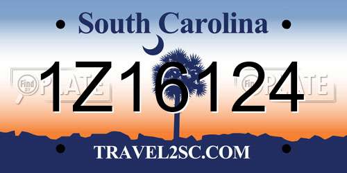 1Z16124 South Carolina License Plate