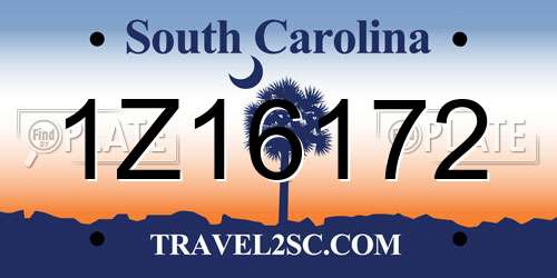 1Z16172 South Carolina License Plate