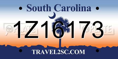 1Z16173 South Carolina License Plate