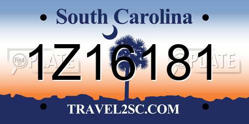 1Z16181 South Carolina License Plate