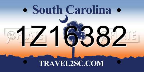 1Z16382 South Carolina License Plate
