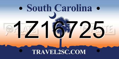 1Z16725 South Carolina License Plate