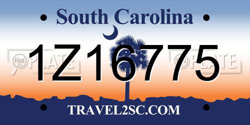 1Z16775 South Carolina License Plate