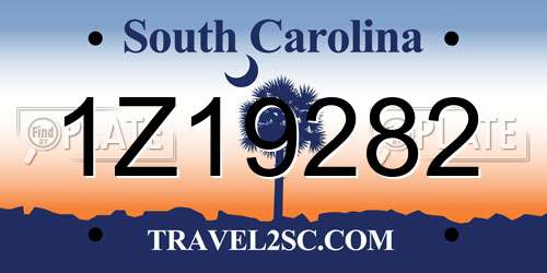 1Z19282 South Carolina License Plate