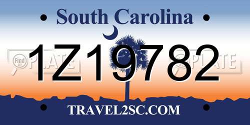 1Z19782 South Carolina License Plate