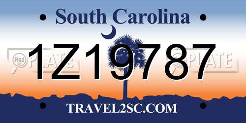 1Z19787 South Carolina License Plate