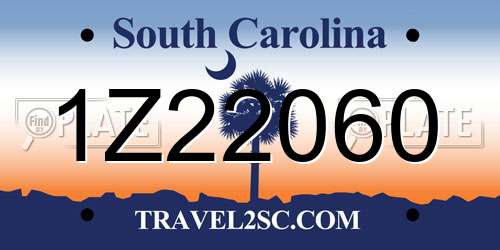 1Z22060 South Carolina License Plate