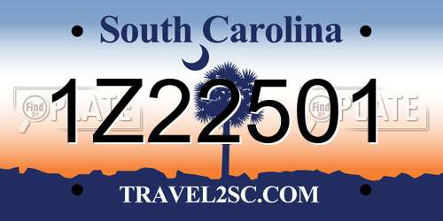 1Z22501 South Carolina License Plate