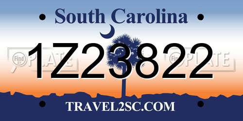 1Z23822 South Carolina License Plate