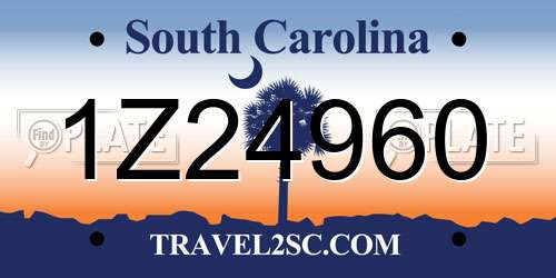 1Z24960 South Carolina License Plate