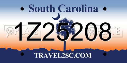 1Z25208 South Carolina License Plate
