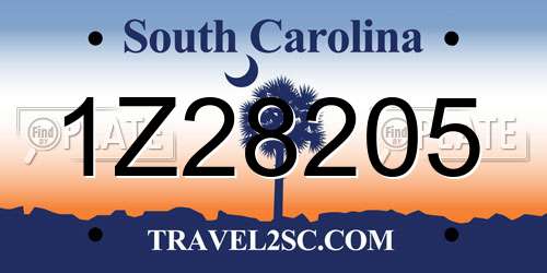 1Z28205 South Carolina License Plate