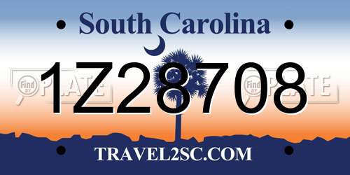 1Z28708 South Carolina License Plate