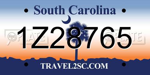 1Z28765 South Carolina License Plate
