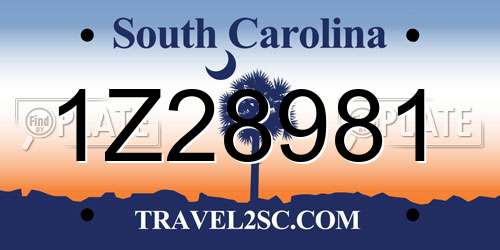 1Z28981 South Carolina License Plate