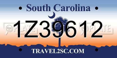 1Z39612 South Carolina License Plate