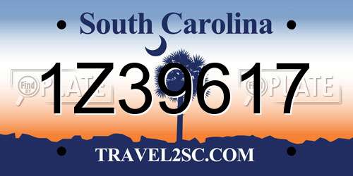 1Z39617 South Carolina License Plate