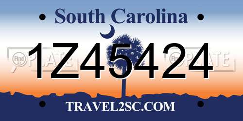 1Z45424 South Carolina License Plate