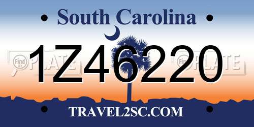 1Z46220 South Carolina License Plate