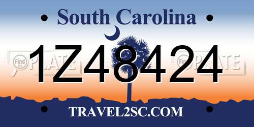 1Z48424 South Carolina License Plate