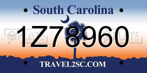 1Z78960 South Carolina License Plate