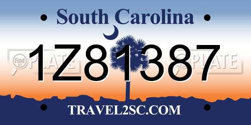 1Z81387 South Carolina License Plate