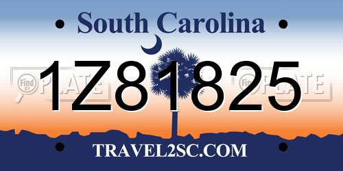 1Z81825 South Carolina License Plate