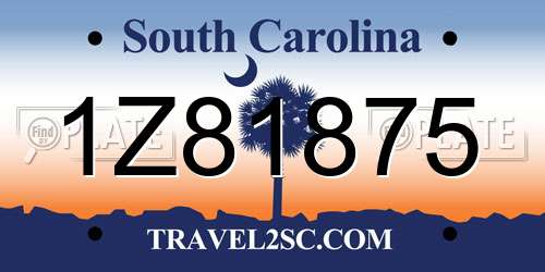 1Z81875 South Carolina License Plate
