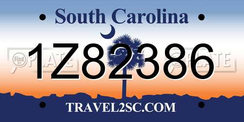 1Z82386 South Carolina License Plate