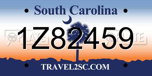 1Z82459 South Carolina License Plate