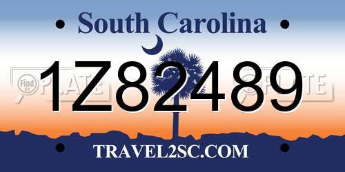 1Z82489 South Carolina License Plate