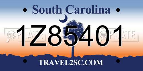 1Z85401 South Carolina License Plate
