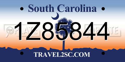 1Z85844 South Carolina License Plate
