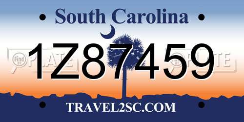 1Z87459 South Carolina License Plate