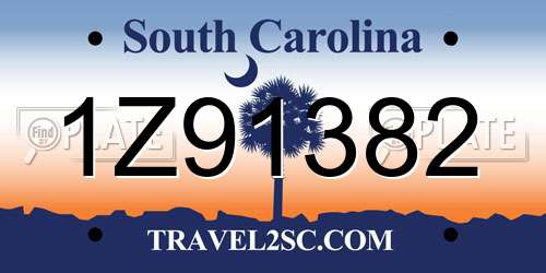 1Z91382 South Carolina License Plate