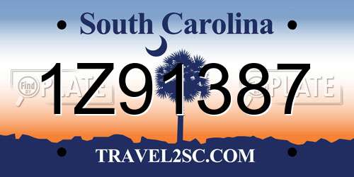 1Z91387 South Carolina License Plate