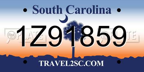 1Z91859 South Carolina License Plate