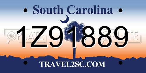 1Z91889 South Carolina License Plate