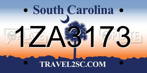 1ZA3173 South Carolina License Plate