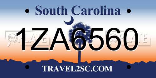 1ZA6560 South Carolina License Plate