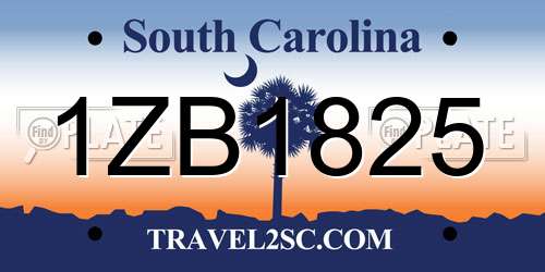 1ZB1825 South Carolina License Plate