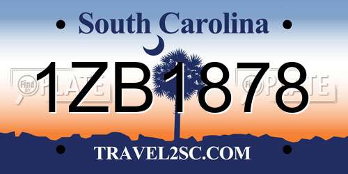 1ZB1878 South Carolina License Plate