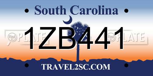 1ZB441 South Carolina License Plate