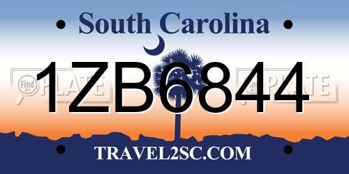 1ZB6844 South Carolina License Plate