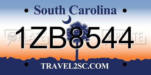 1ZB8544 South Carolina License Plate