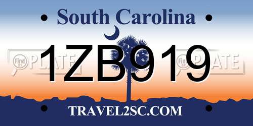 1ZB919 South Carolina License Plate