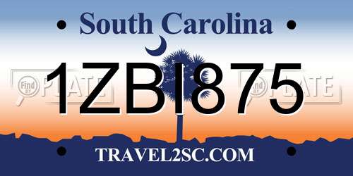 1ZBI875 South Carolina License Plate
