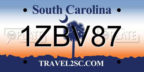 1ZBV87 South Carolina License Plate